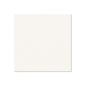 0491 G - Preglejkový panel 9,4 mm potiahnutý plastom - biely